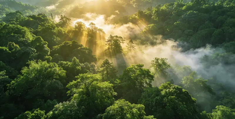 株洲肺癌49基因检测图片1